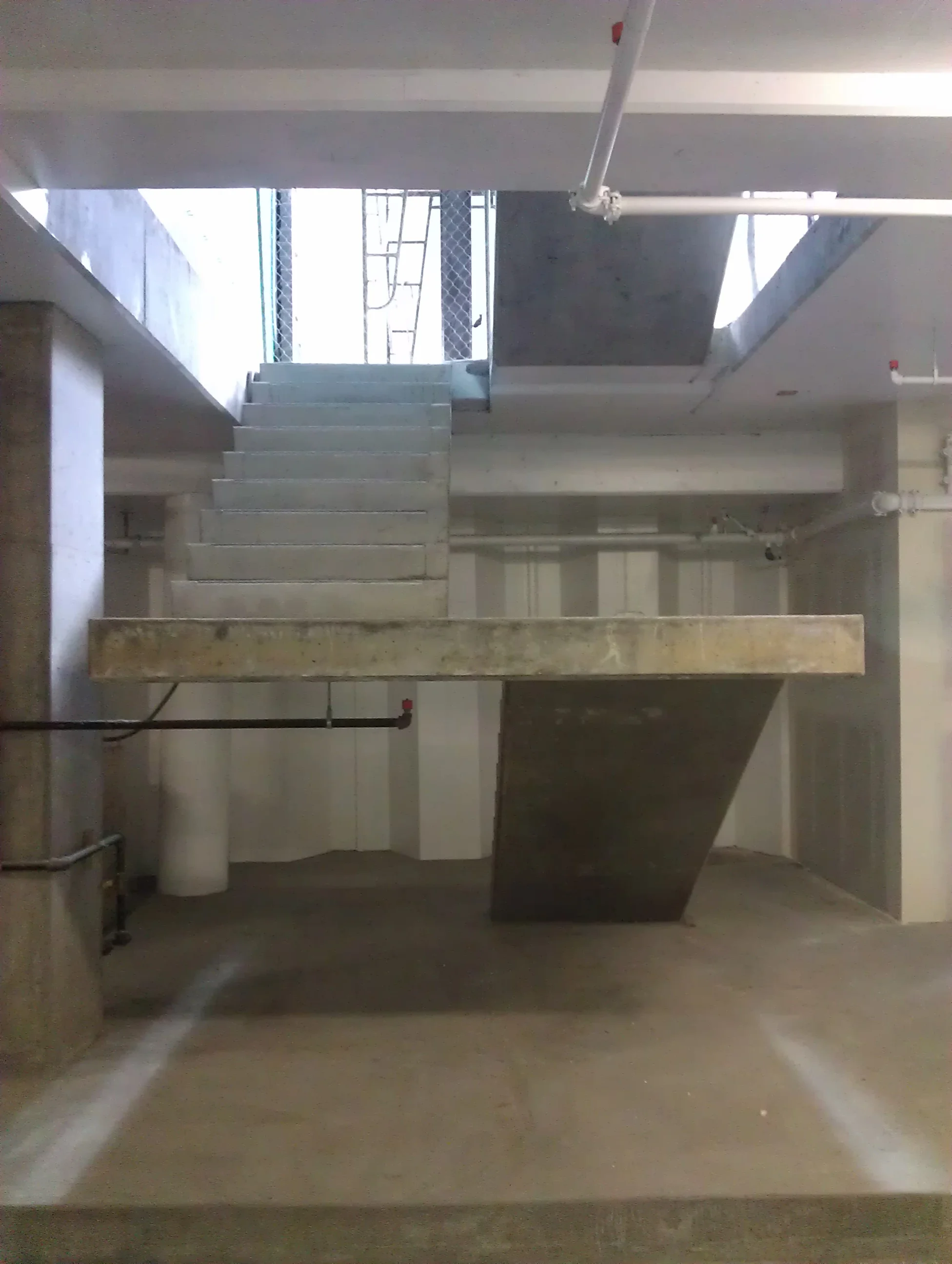 IMAG0708.jpg