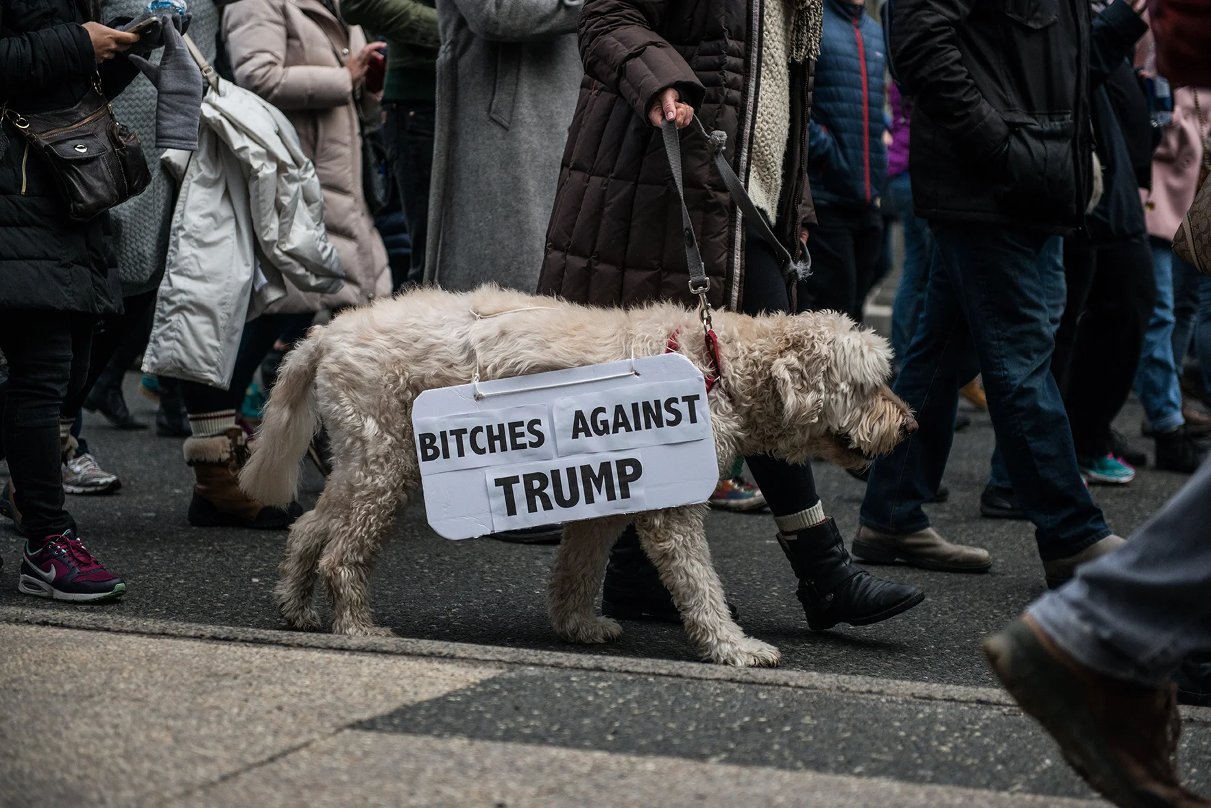 march-43.jpg