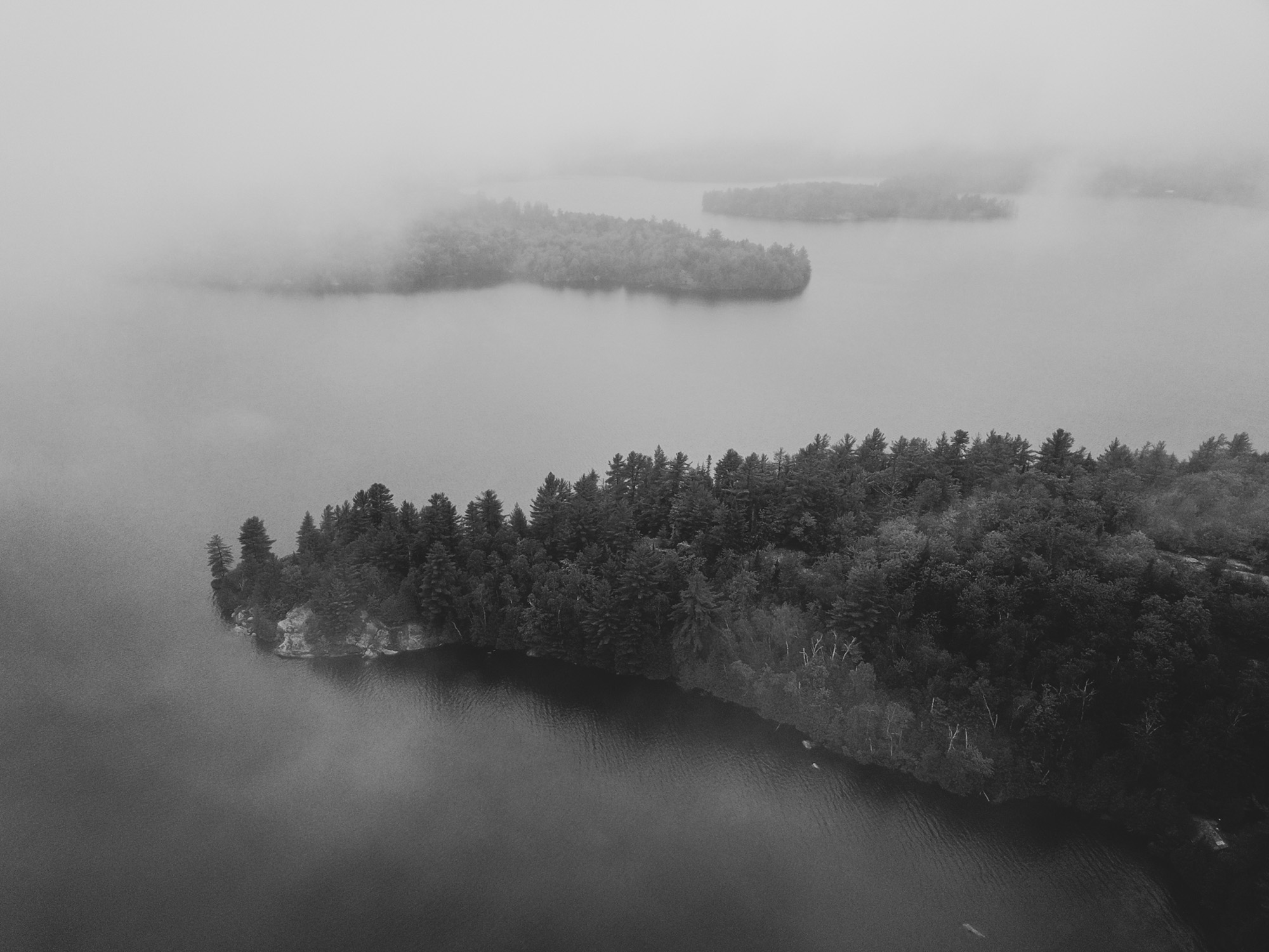 Fog Lake-0021.jpg