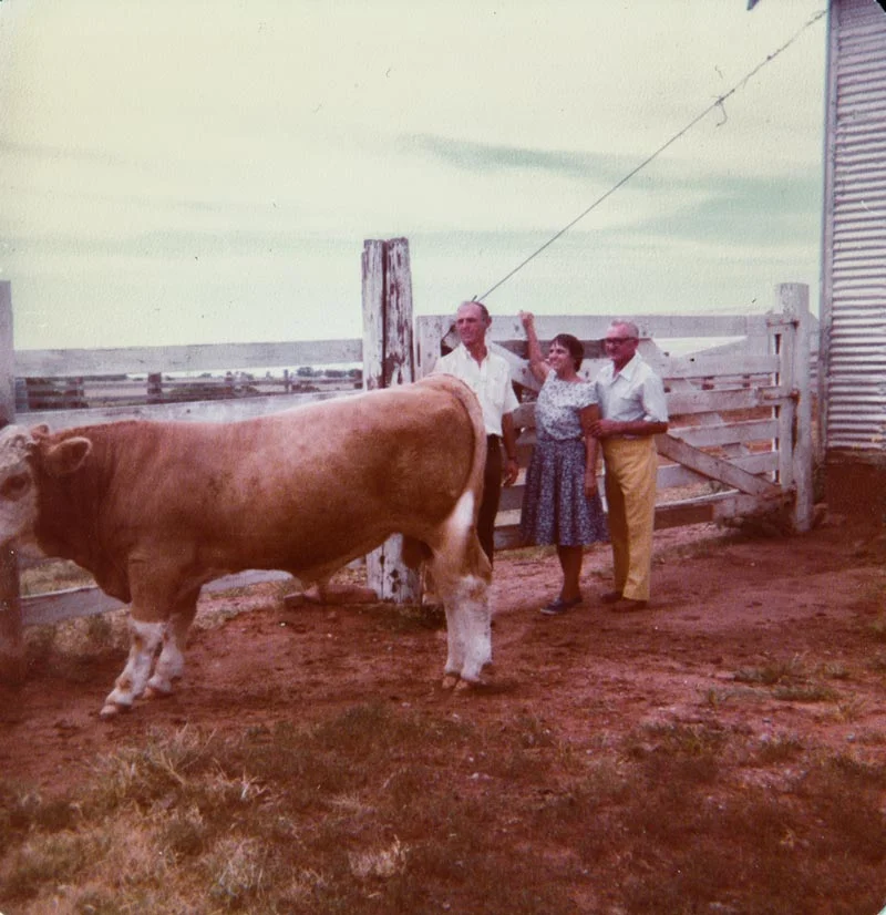 Checking out the Bull (1975)