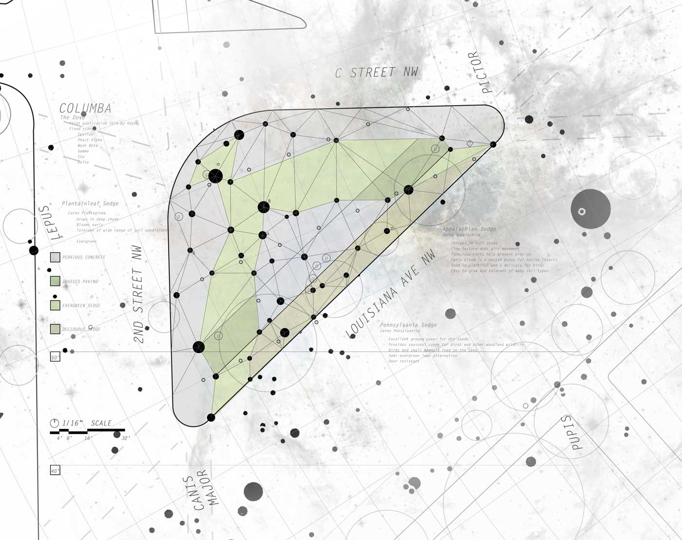 Site Plan Web.jpg