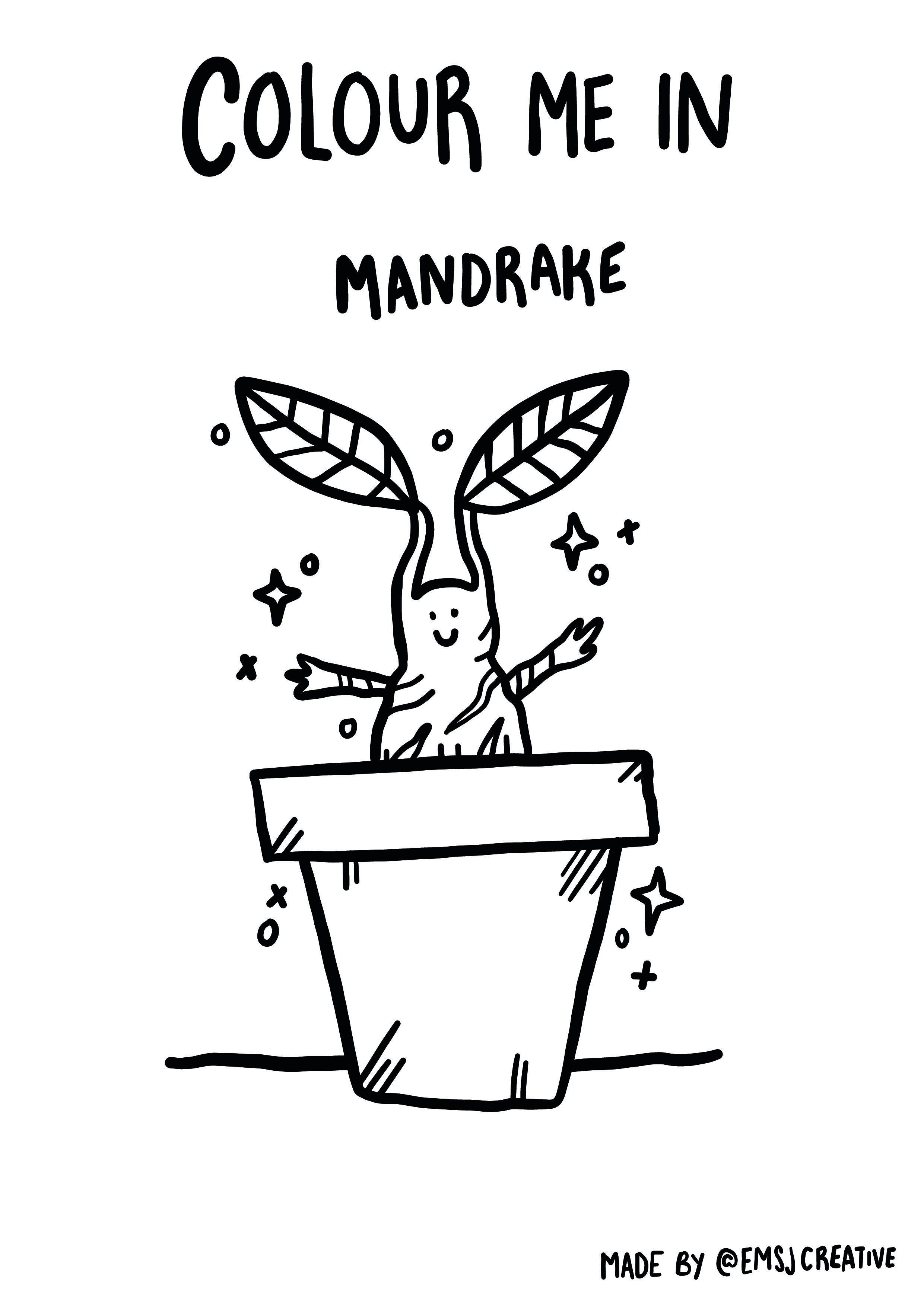 Colour in Mandrake