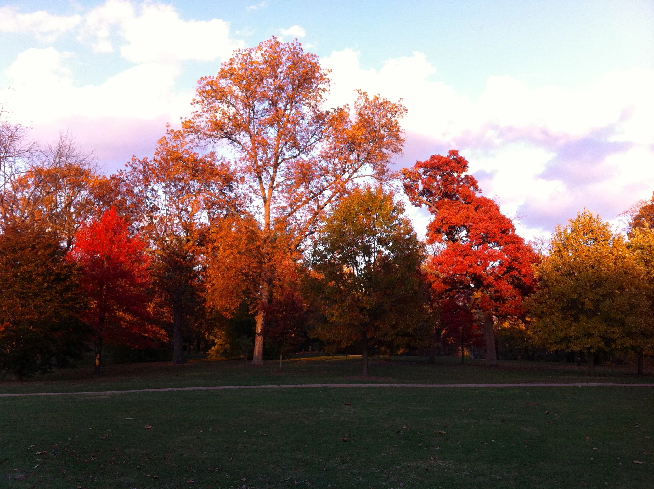 Some More Things About Me