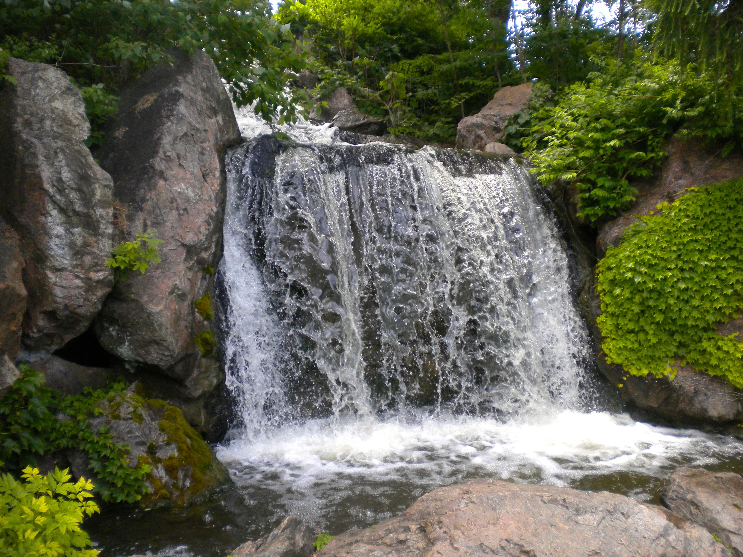 Why I Ask For Feedback