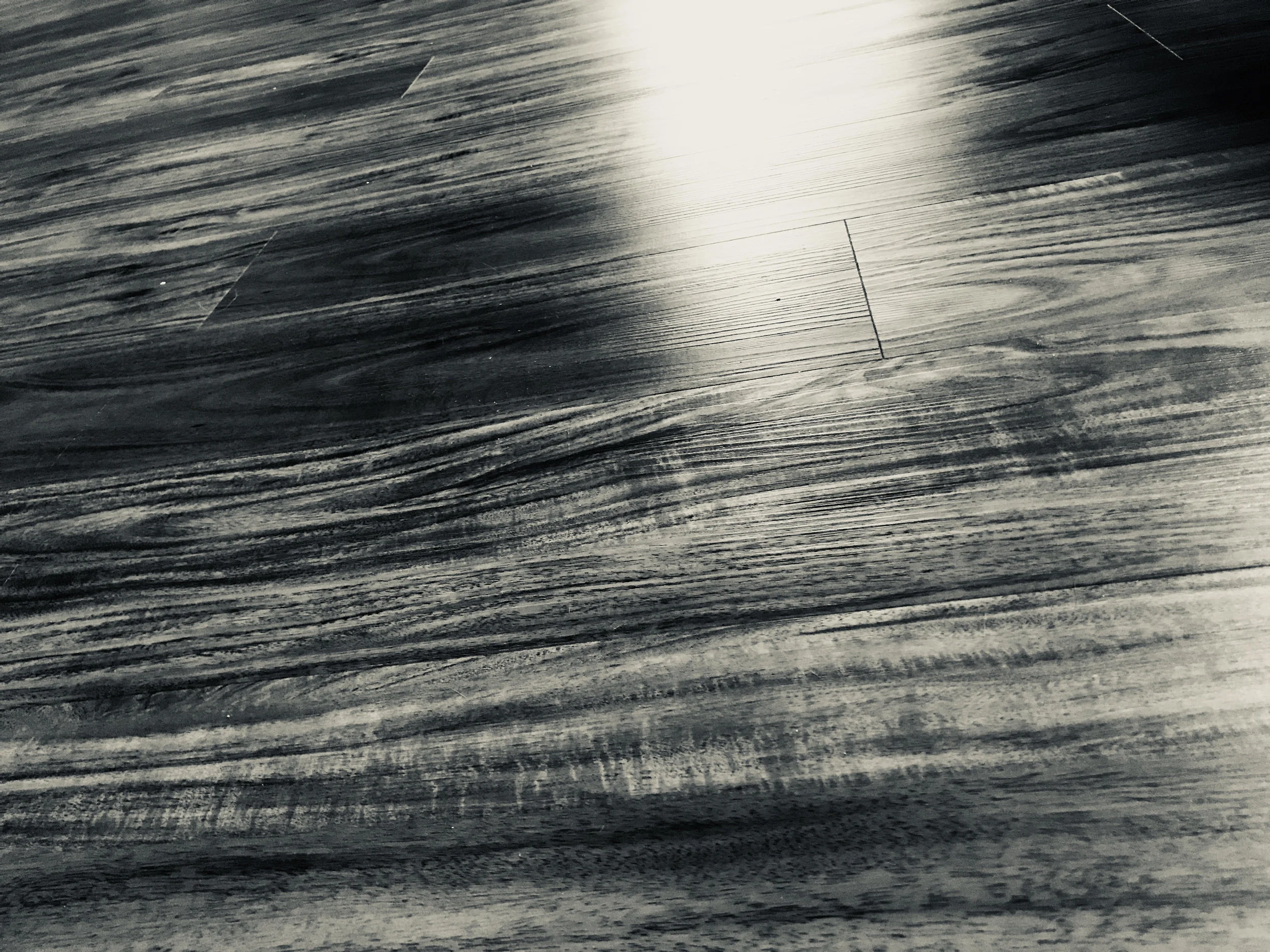 Photography © 2018 by C. K. Conners "Time slows as he glides through the dim space, and I can see on his face a look of assuaging forfeit, of peaceful release."