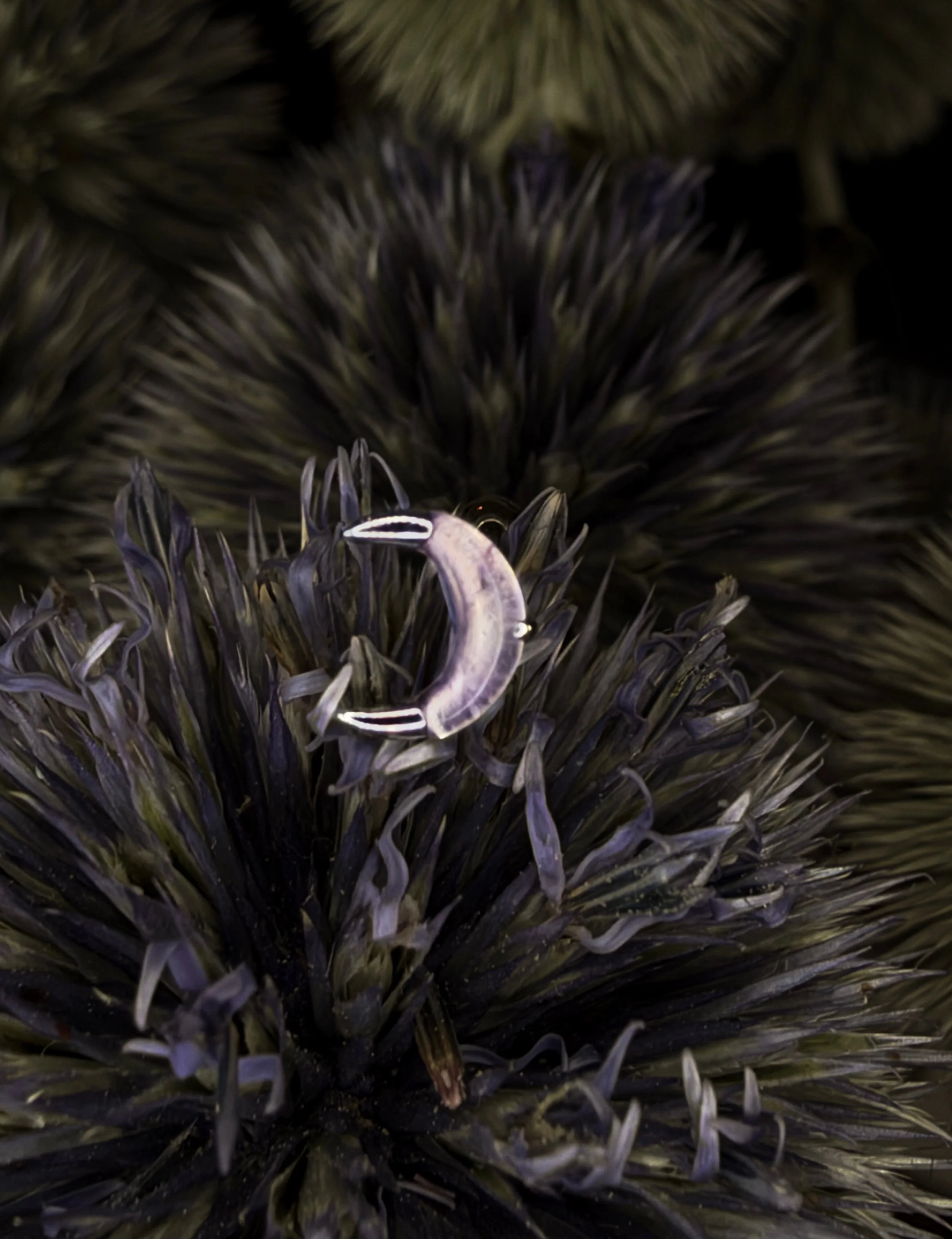 Buddha Moon Amethyst Witching Hour White Gold