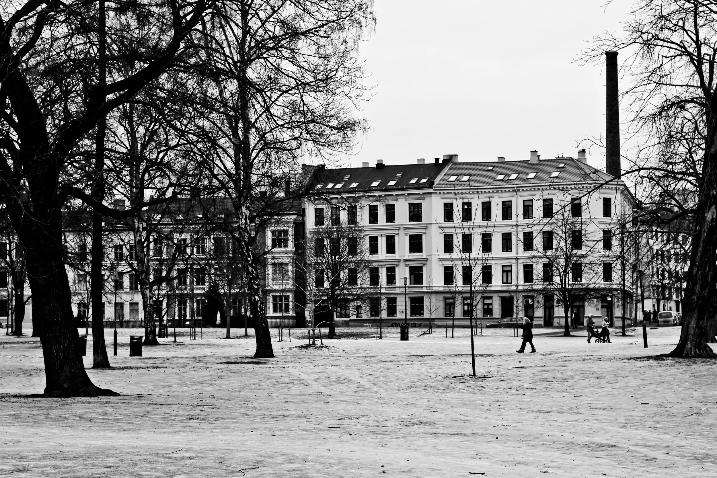 IMG_8098.JPG