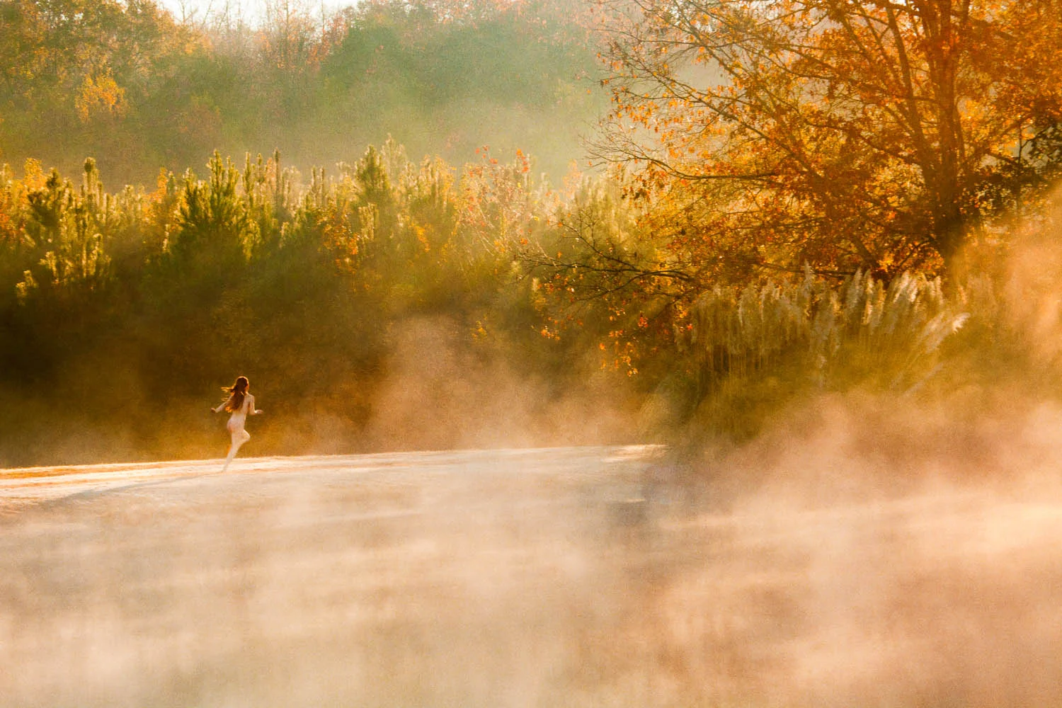 Misty Nowhere, 2013