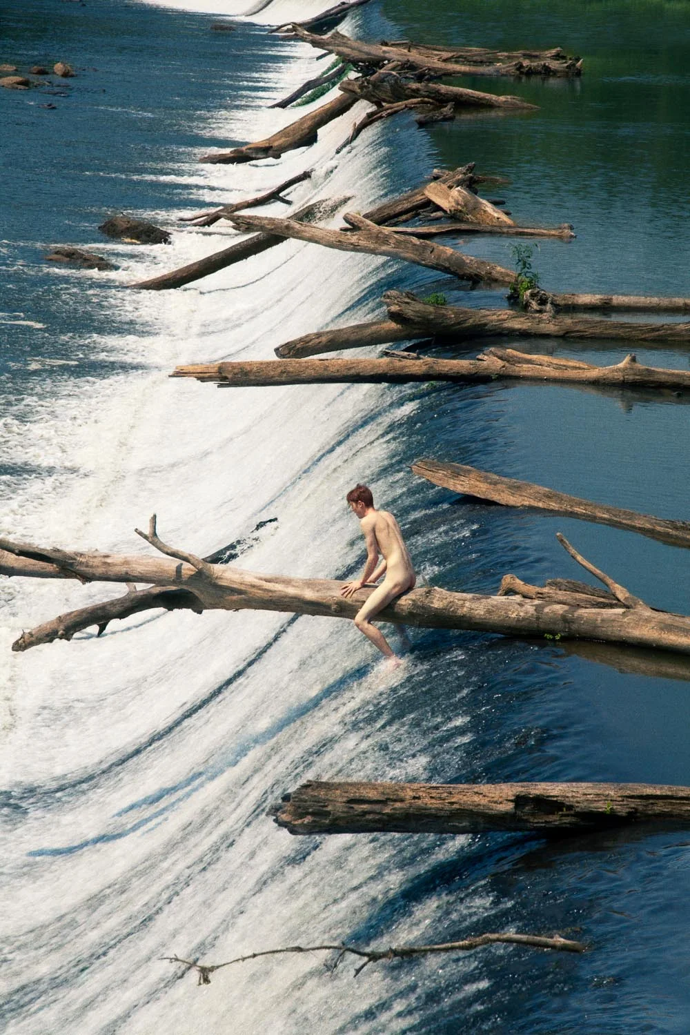 William (Floating Trees), 2012