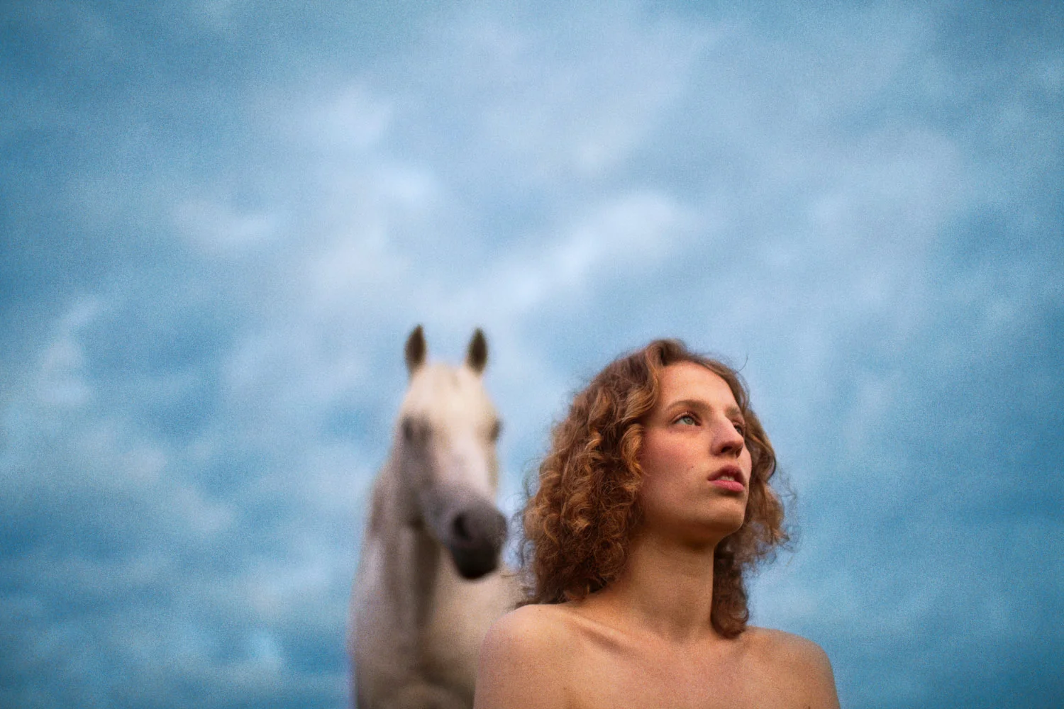 Petra (White Stallion), 2013