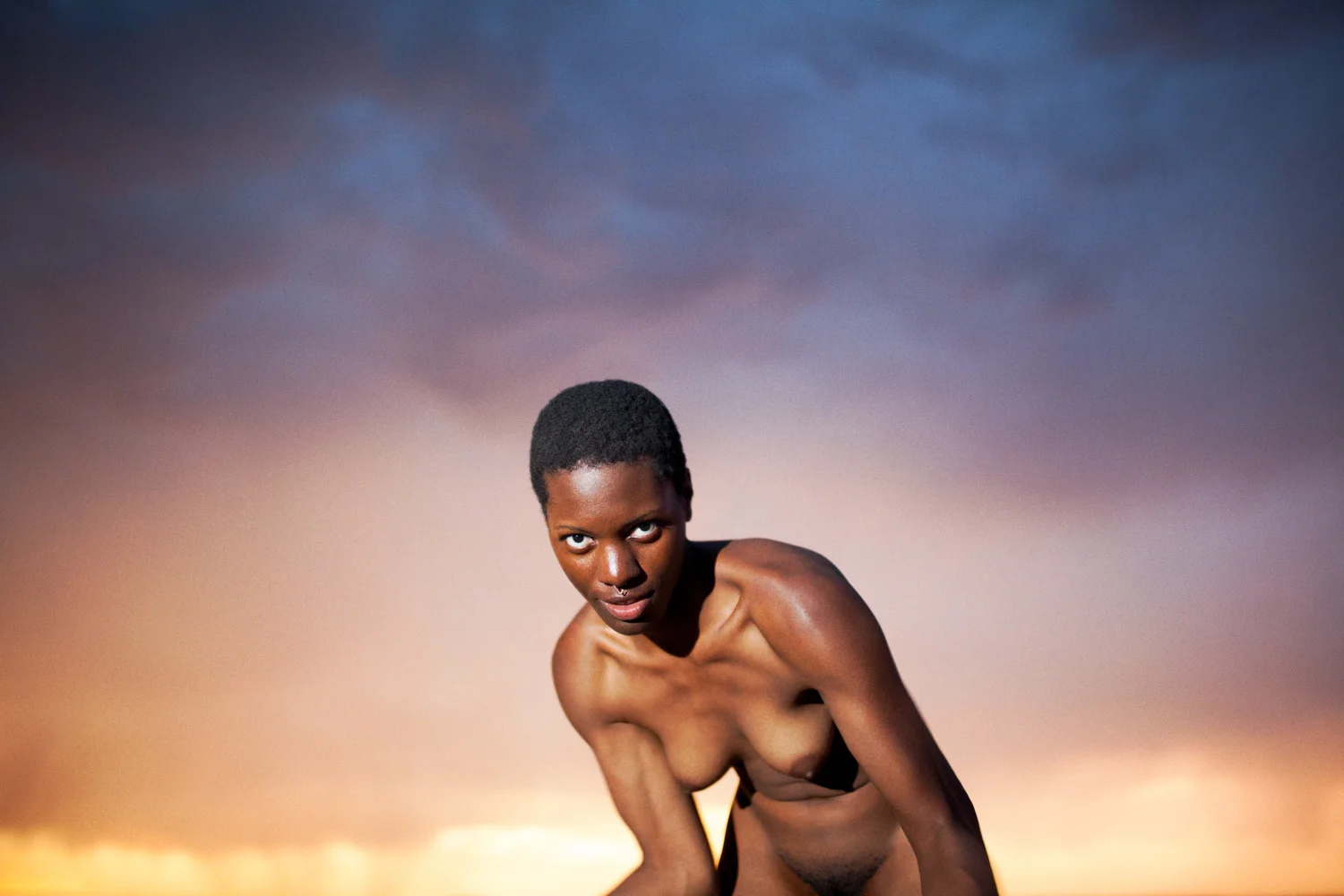 Devin (Sunset), 2014