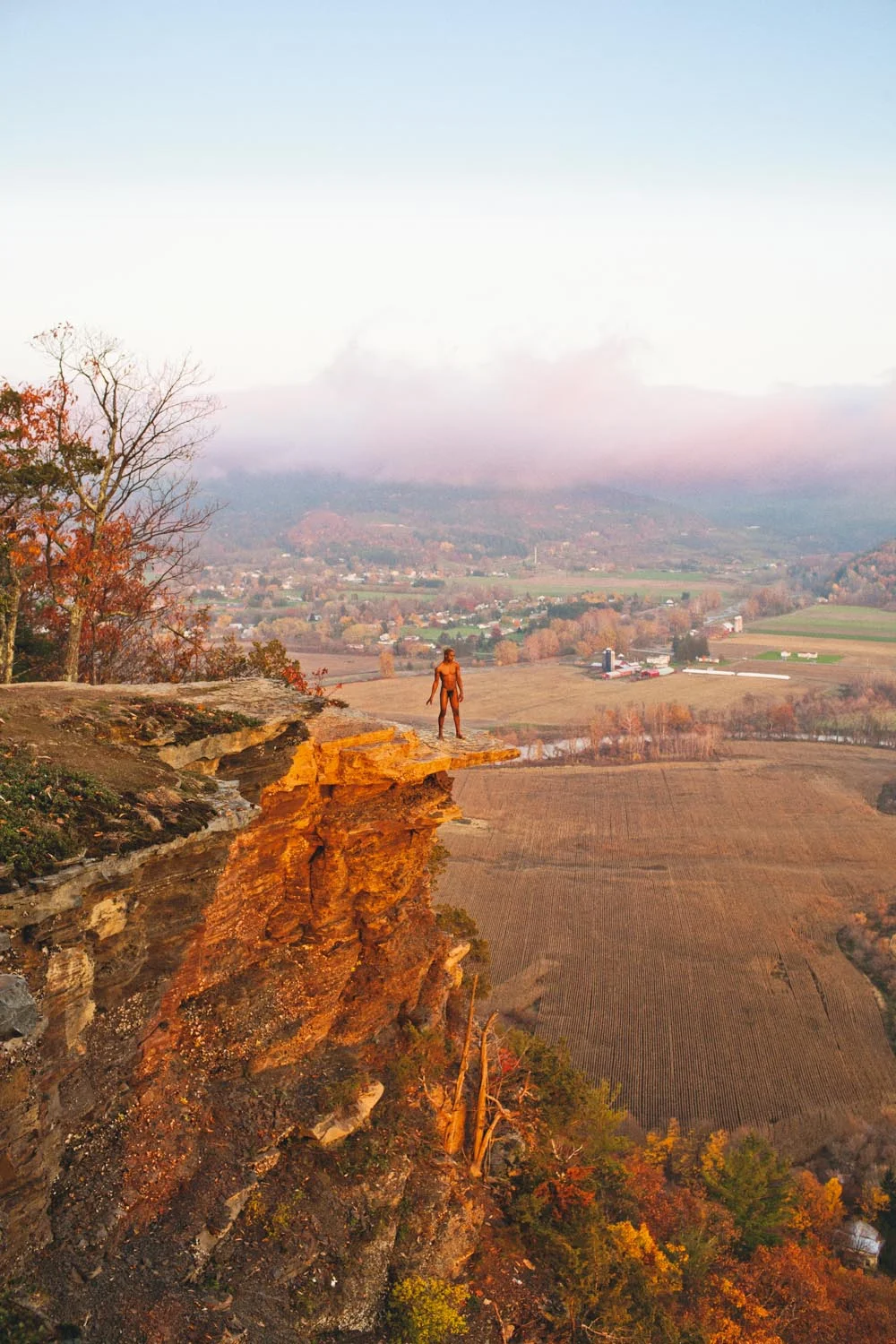    Elliot (The Nose) , 2013  