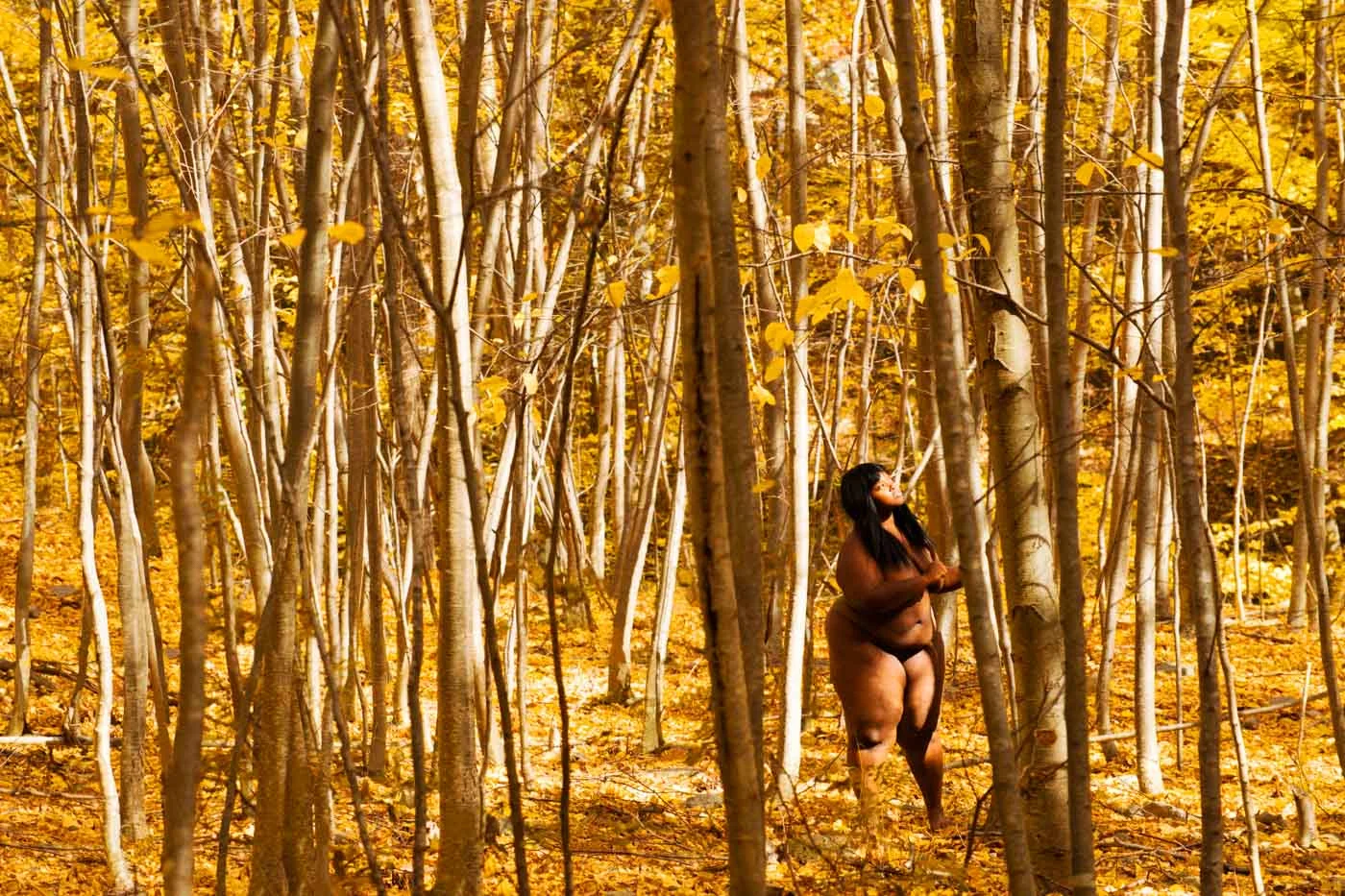  Candice (Birch), 2017 