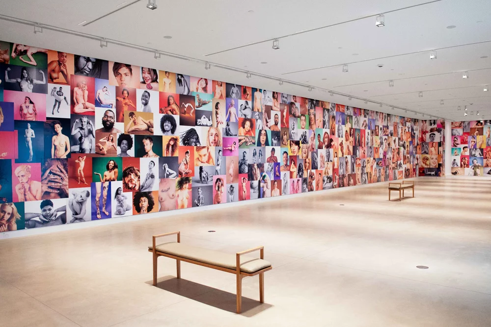 Installations — RYAN McGINLEY