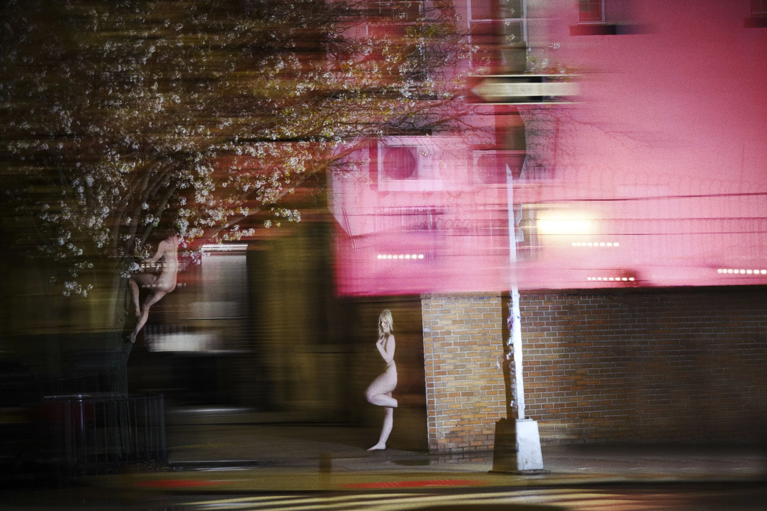   Greenpoint, Brooklyn , 2026 