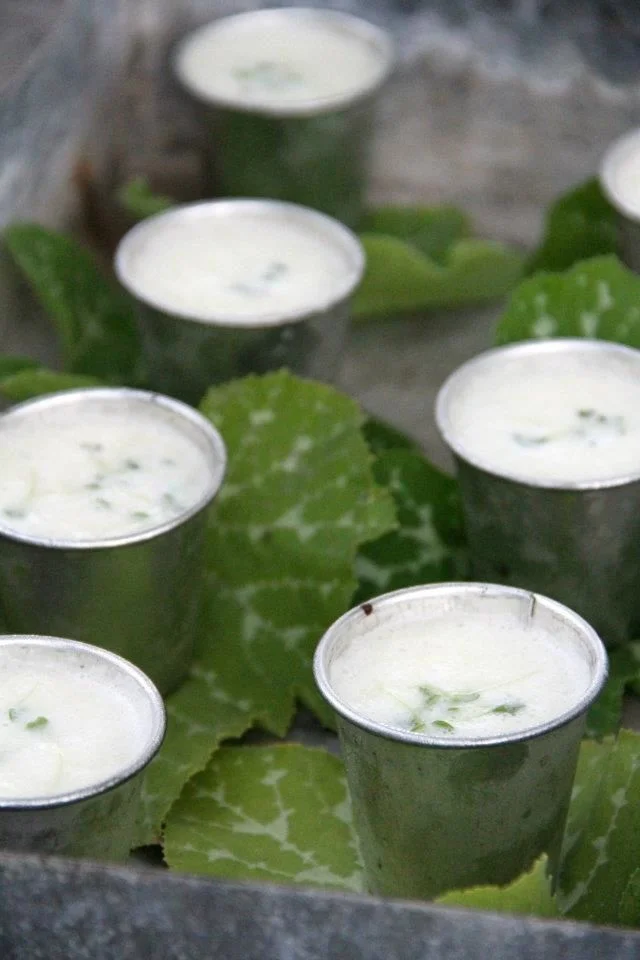 cucumber gazpacho.jpg
