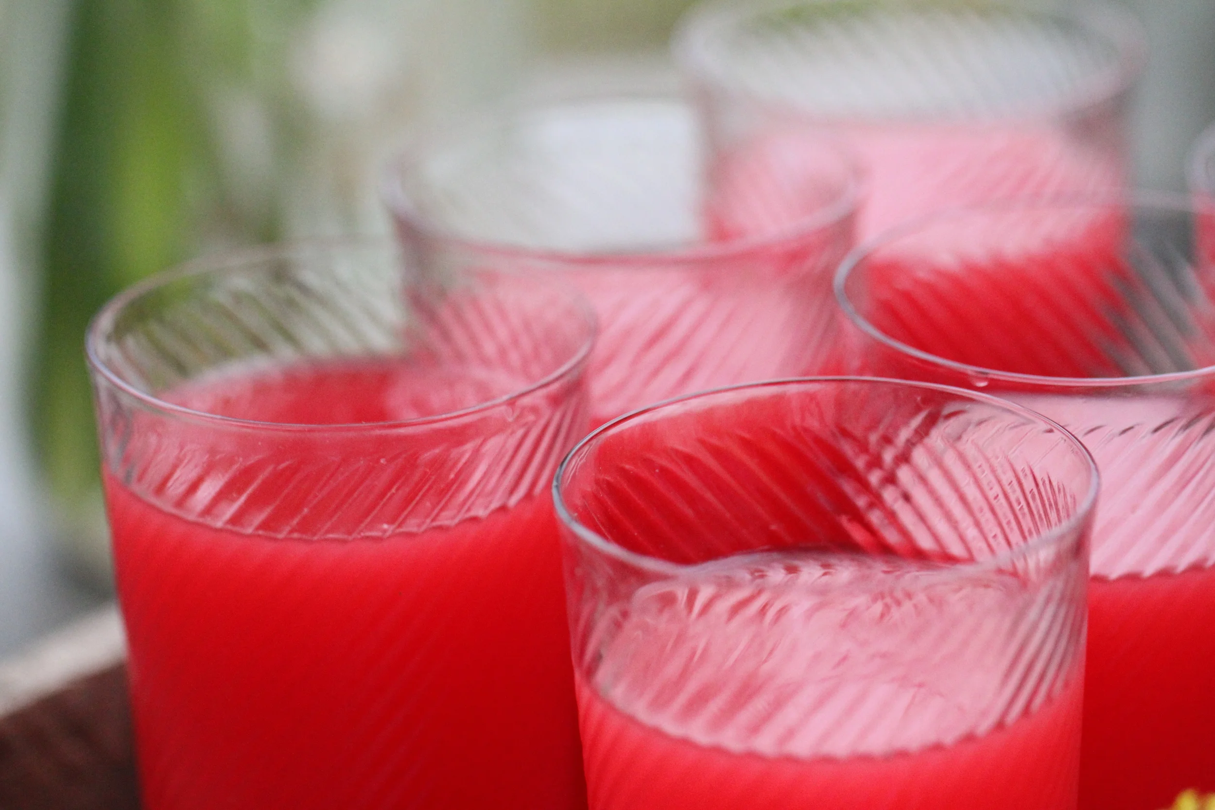 watermelon shooters.JPG