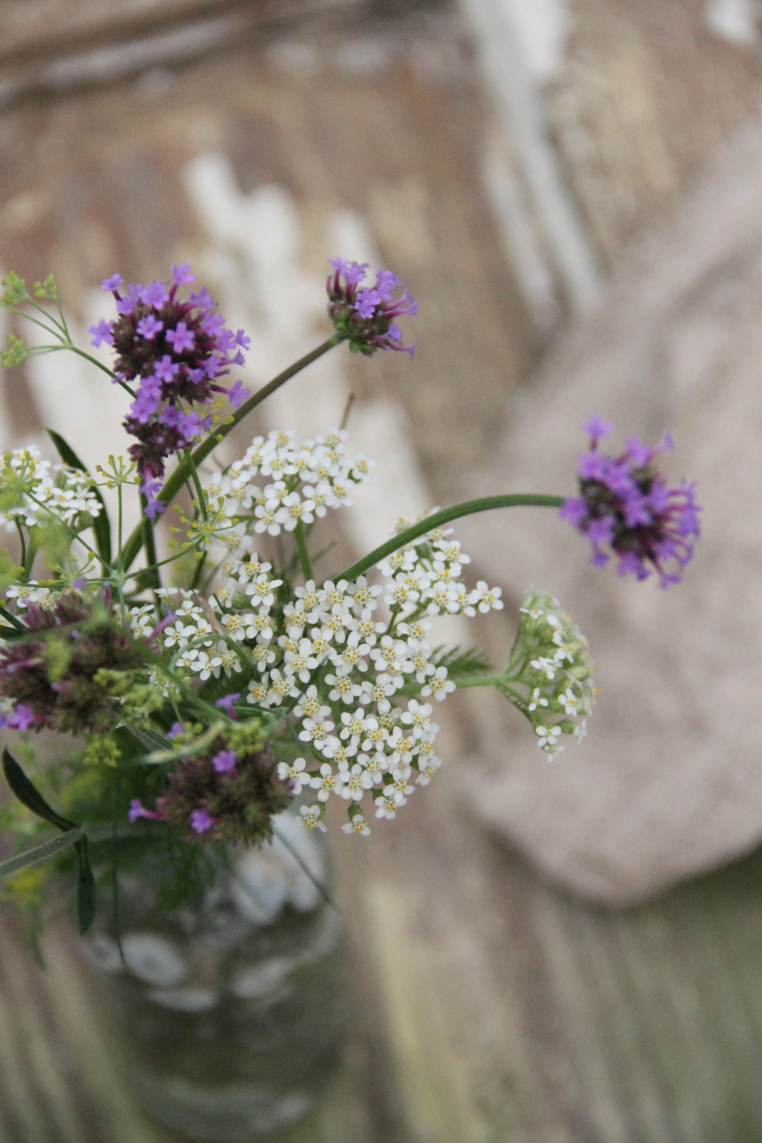 wildflowers2.jpg