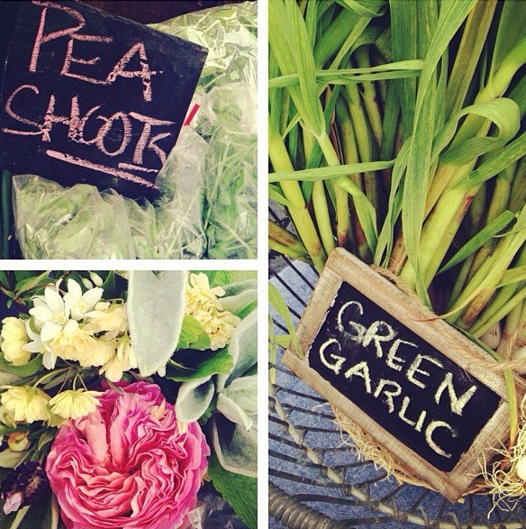 pea+shoots,+garlic+and+rose.jpg