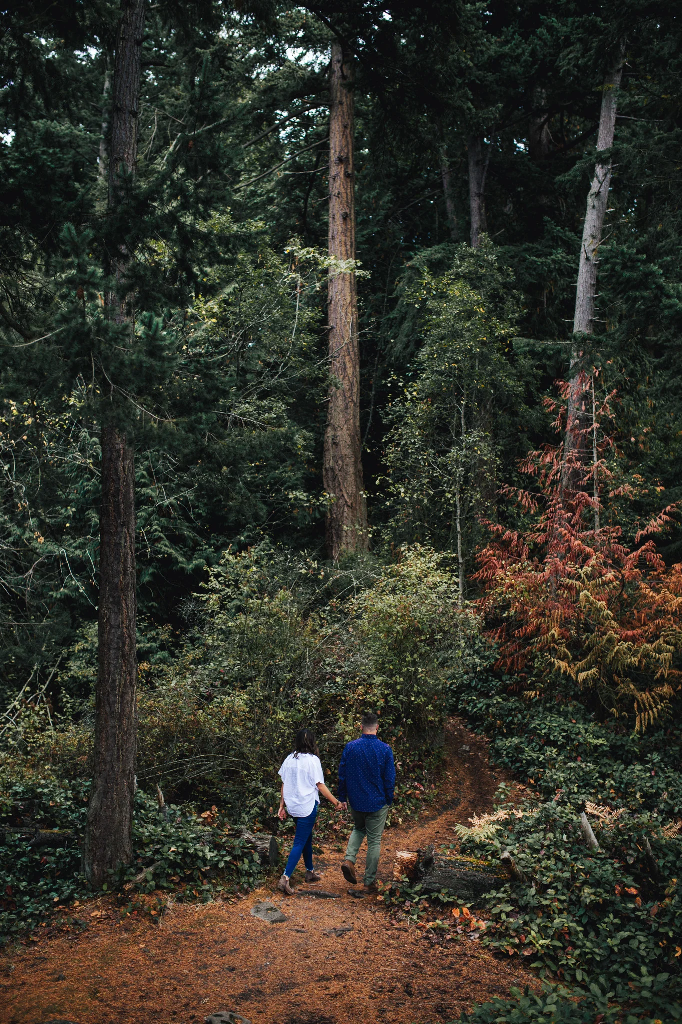 Bellingham-Engagement-Photos (10 of 22).jpg