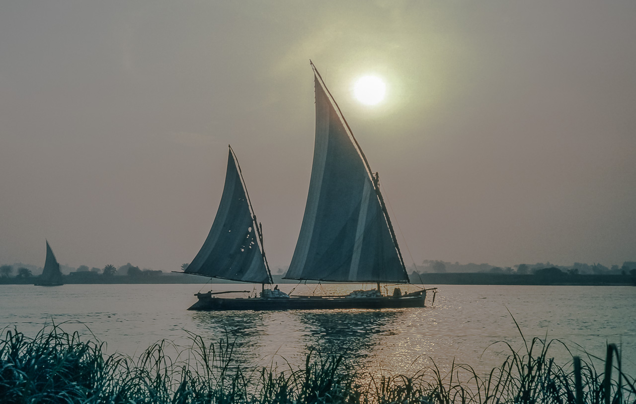 Felucca-Sailed Workboats Grace the Nile River