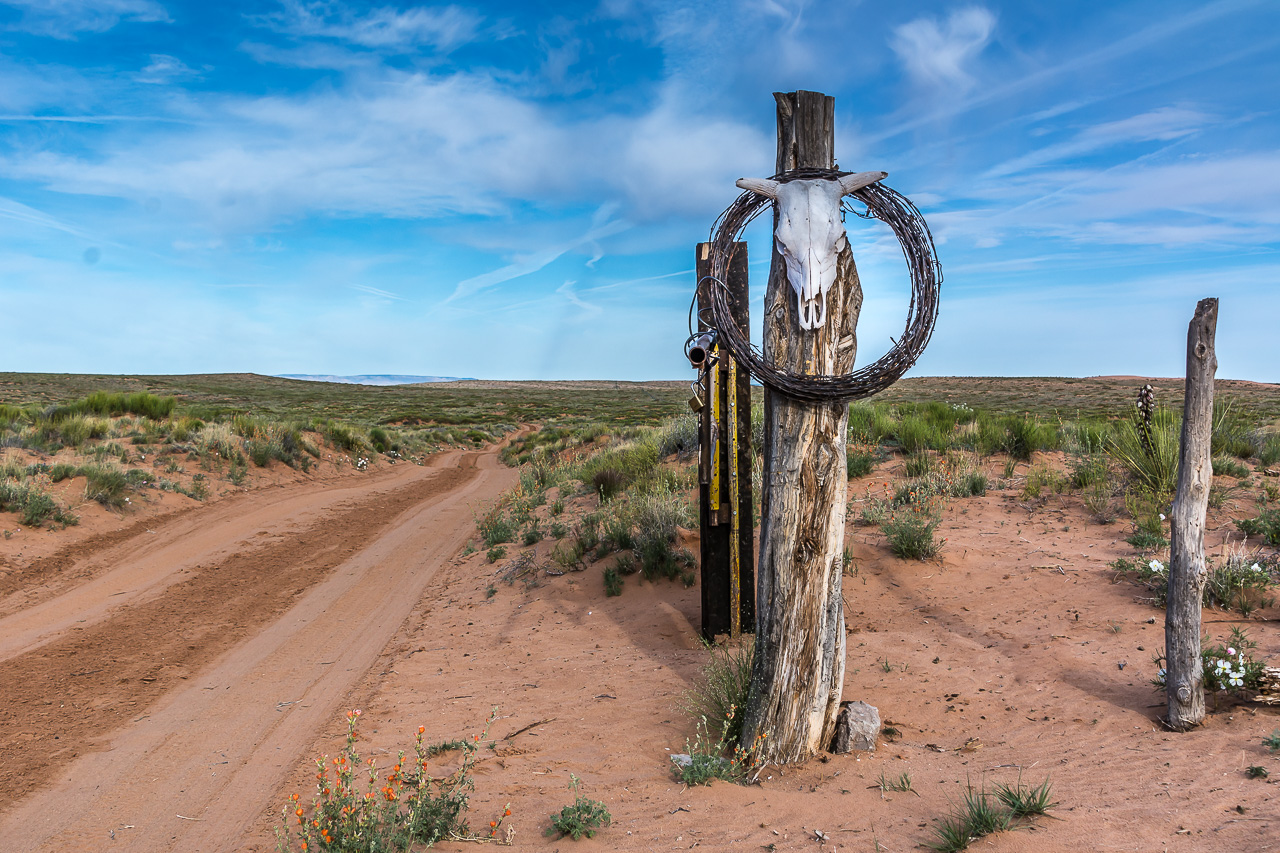 Welcome To The Rez