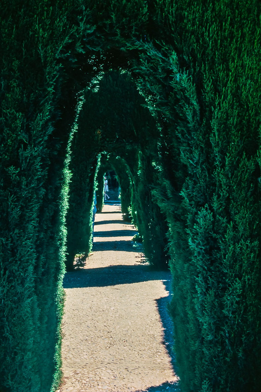 Sculpted Hedge Passage, Alhambra Palace, Grenada, Spain