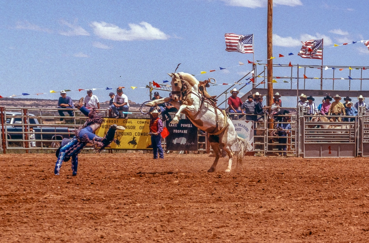 Rearing Bronco's Rider Flies, Shonto Stampede Rodeo  