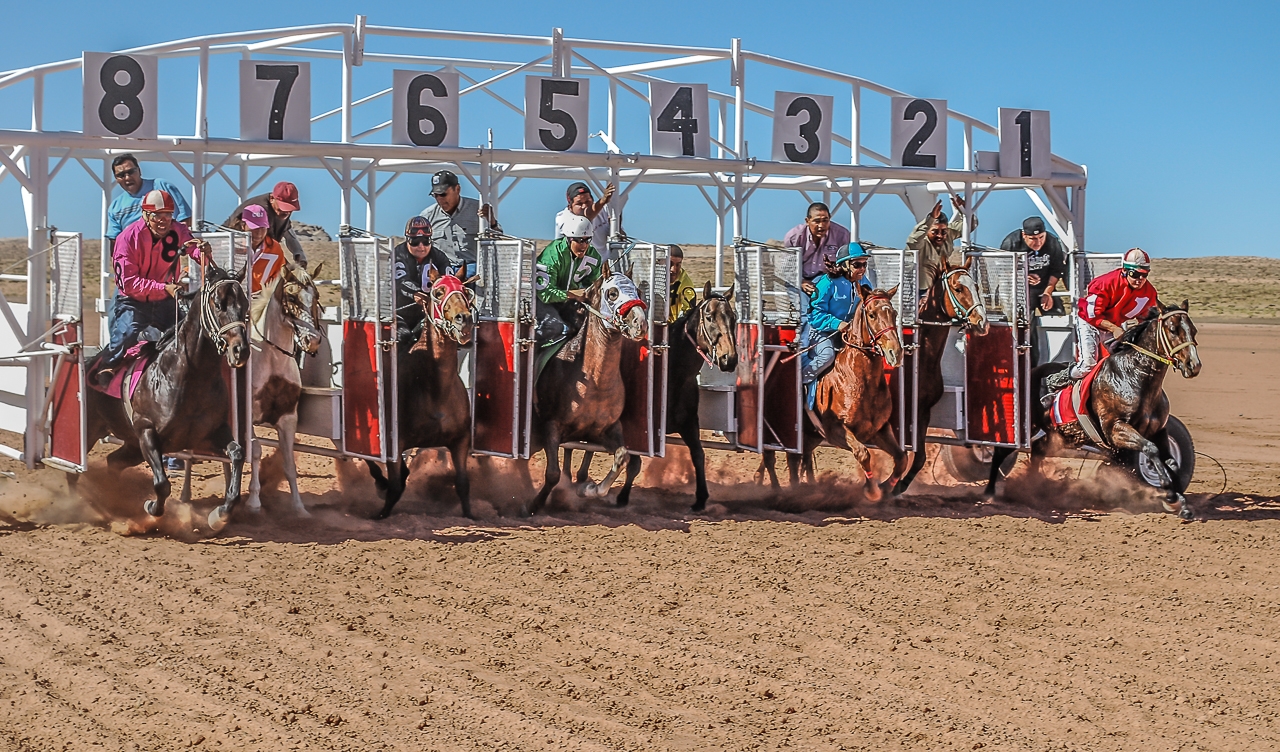 Riders of All Sizes In Open Horse Races, Navajo Nation