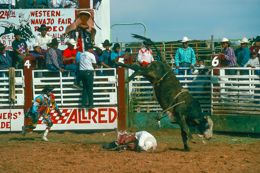 Bullrider Down! Bull Fighter In Action!