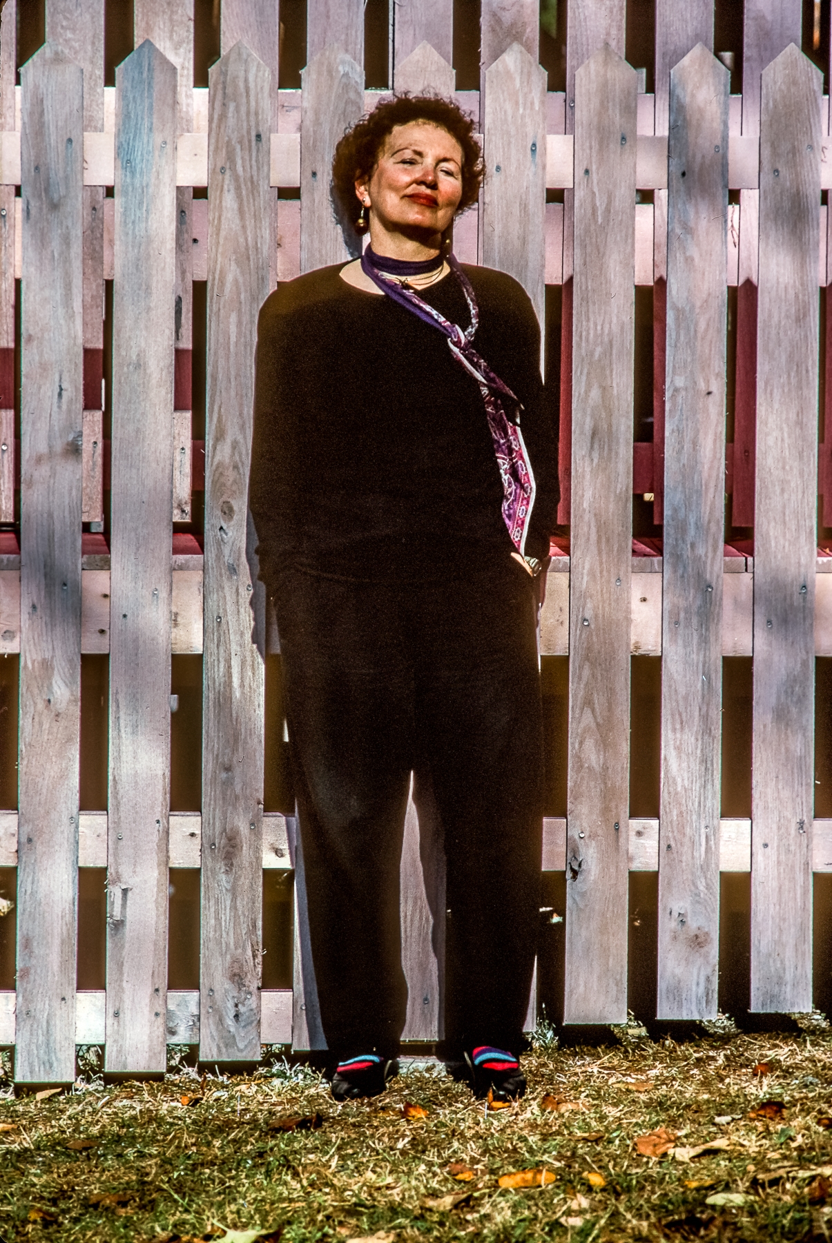 Colette Inez, Poet