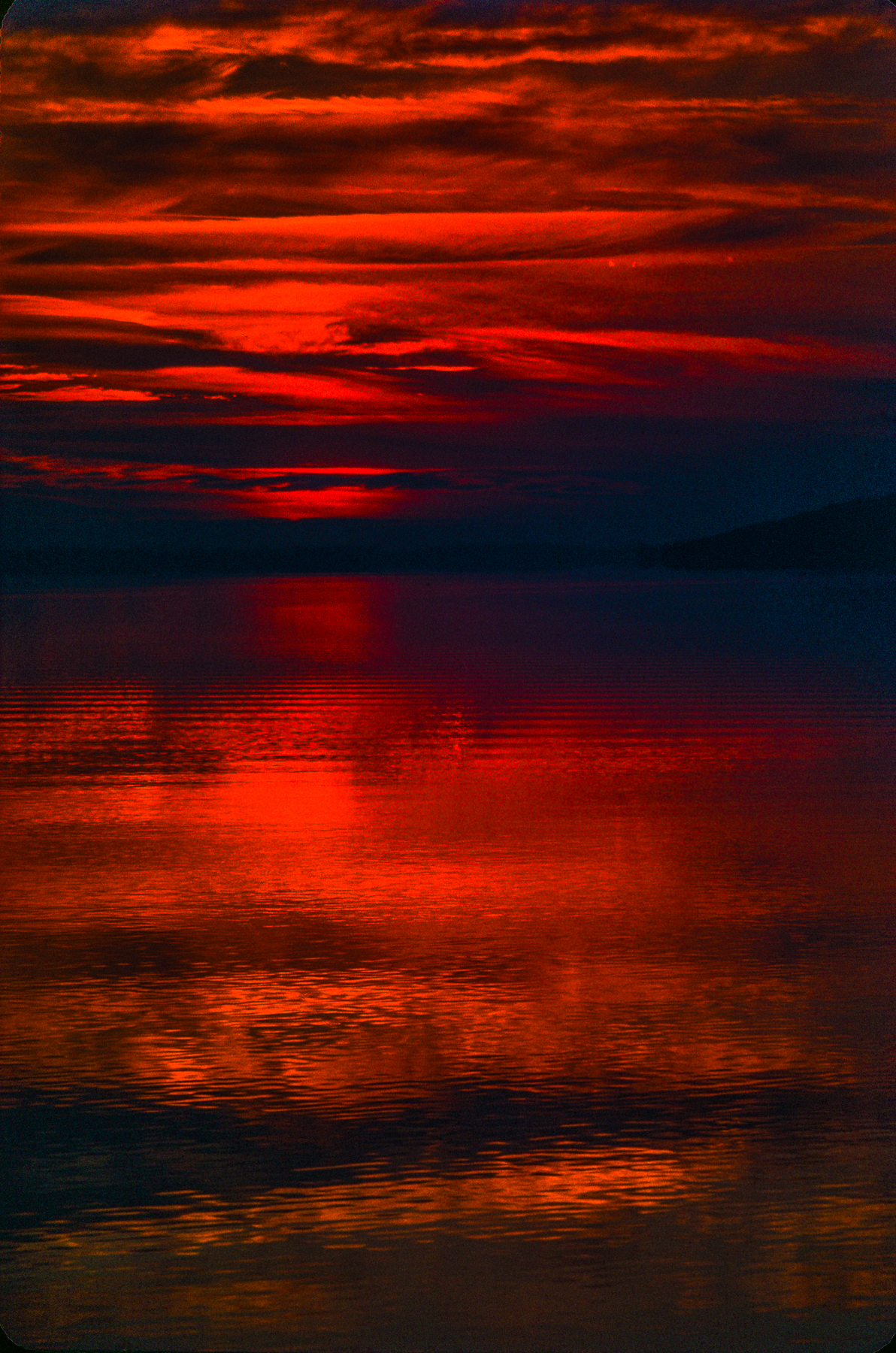 Sunset Painting Floods Green Lake with Rich Reds