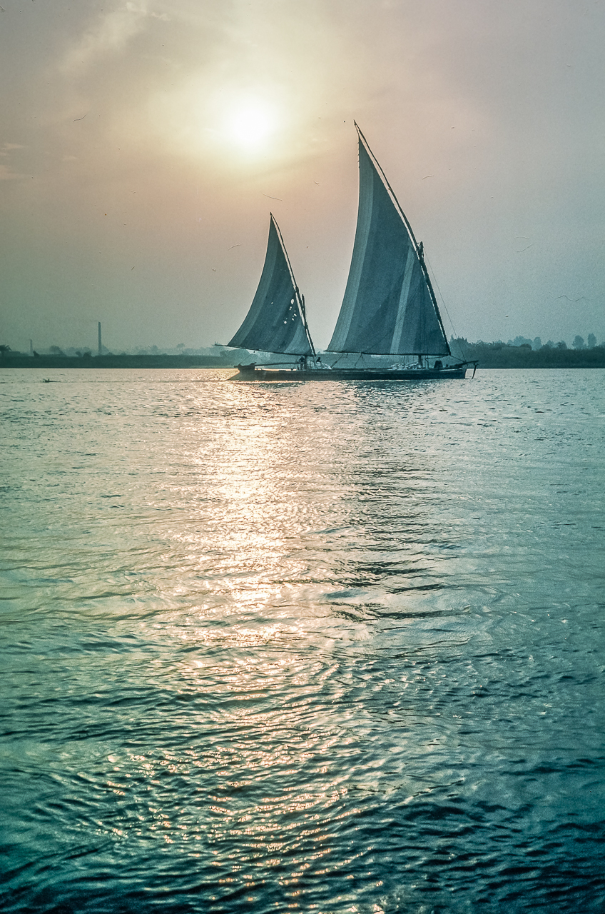 Felucca-sailed Workboats on The Nile River above Cairo.