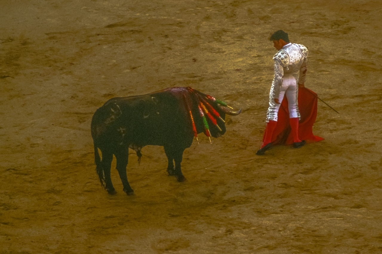 Toreador Turns His Back on the Bull To Show Control