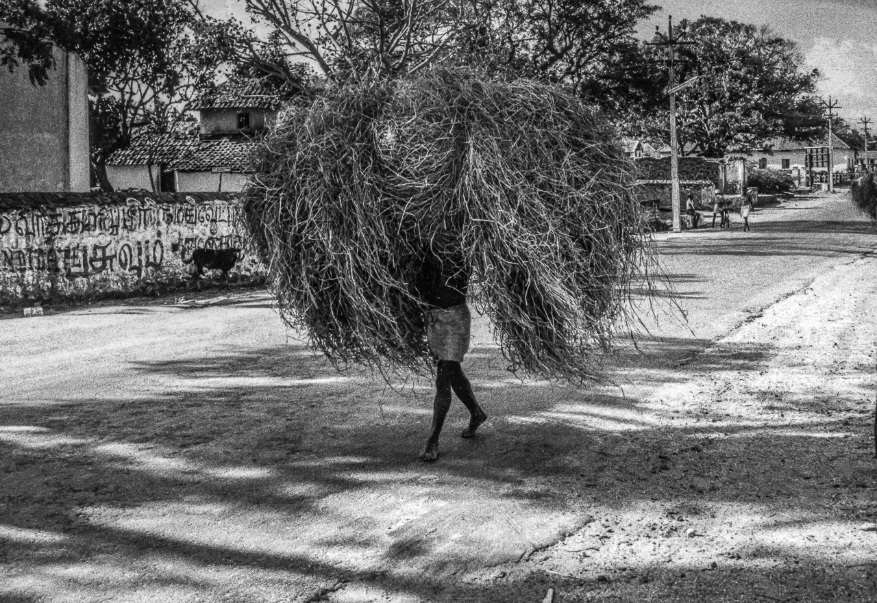 Hard Hot Work Sweating Under a Hay Rack in India