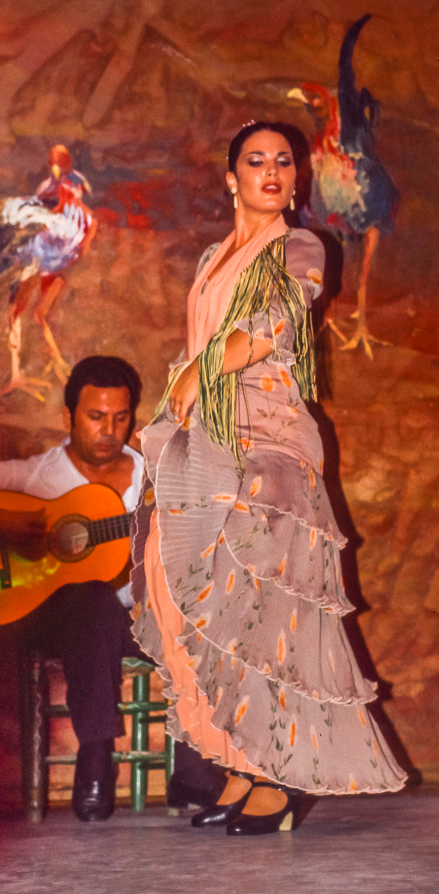Flamenco Dancer with her Guitarist