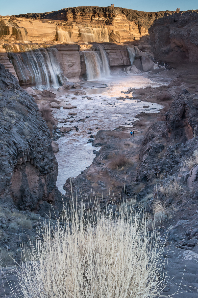 Water.Jones_T.--0235.jpg