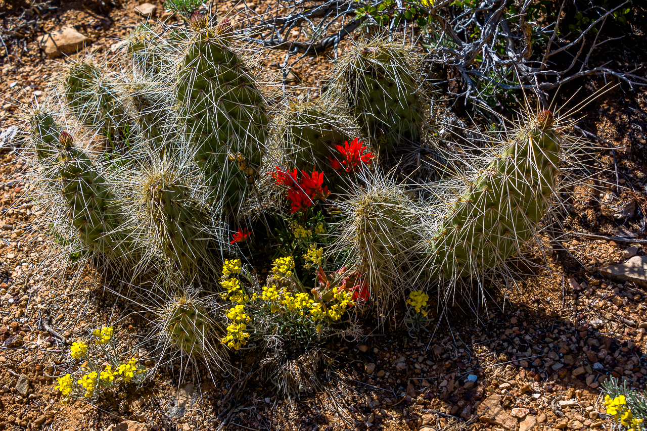 Jones_T.Landscape-1435.jpg