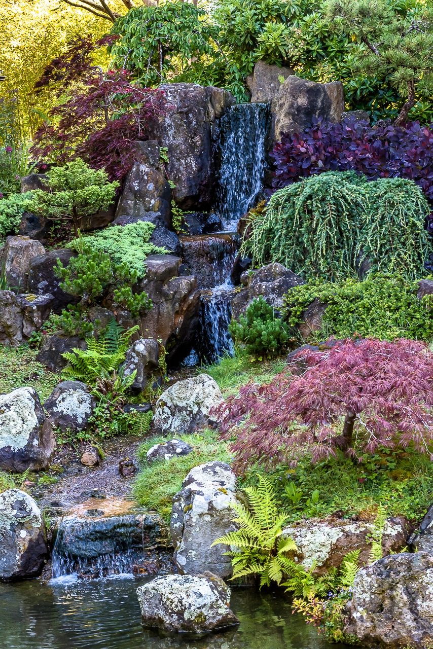 JAPANESE TEA GARDEN WATERFALL (2017)