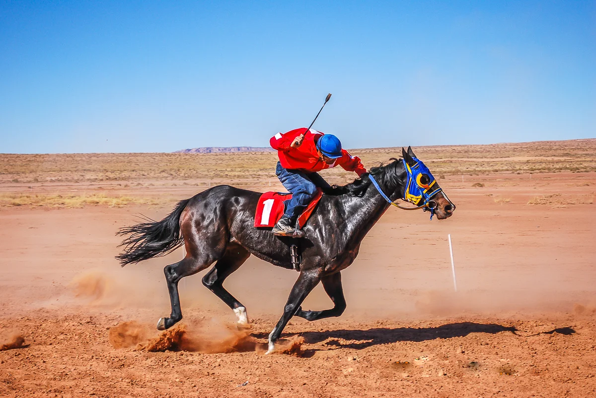 HORSES ARE SACRED TO TRADITIONAL NAVAJOS (2009)