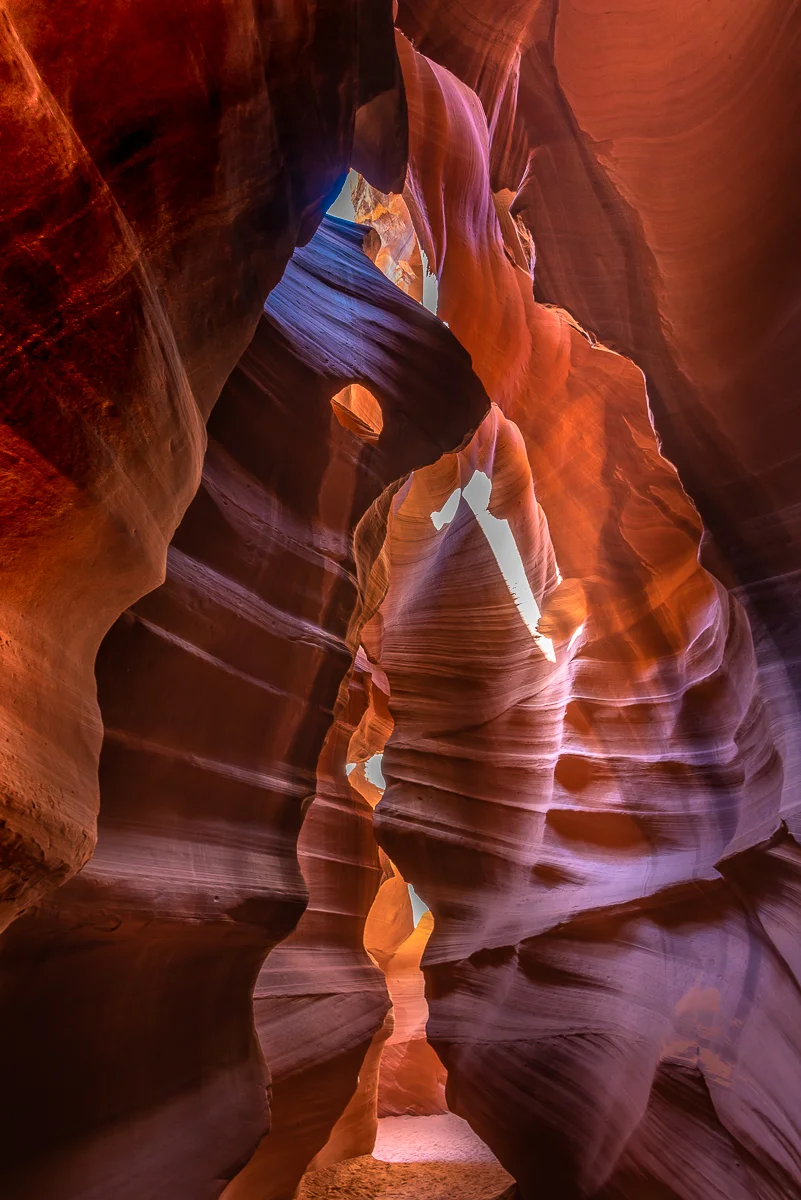 COLOR_Jones_T_-2694.jpg