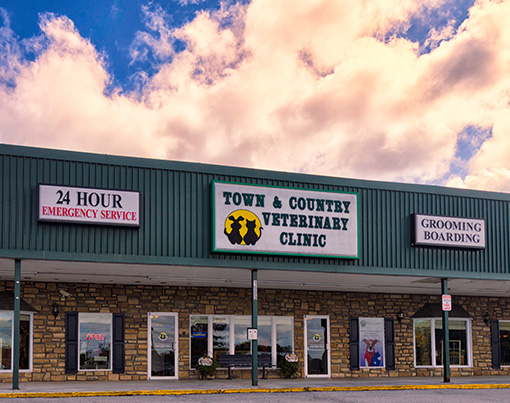 24-Hour Pet Emergencies At Town & Country Veterinary Clinic, we understand that a pet emergency can be a frightening time for pet owners. Our emergency services are a caring extension of your family or referral veterinarian. Our veterinarians have a special interest in emergency medicine and will ensure that your pet receives the highest quality of appropriate and necessary medical treatment. We have the skills and capabilities to provide pet emergency care at our animal hospital 24-hours a day. Emergency care can be costly because of the high-level facility and professional staff requirements. We tailor treatment protocols to fit your resources and special needs, providing the optimum course of therapy to fit your pet’s situation. You are encouraged to discuss any fees and treatment options with our professional staff. We routinely assist in and accept applications for CareCredit. Following an emergency or critical care at our facility, we will provide your family veterinarian with medical records and information about your pet’s condition so your veterinarian can provide appropriate follow-up care and treatment. If your pet is not an established patient at another veterinary facility, our hospital welcomes new clients and patients and would be happy to discuss routine and preventative care with you.