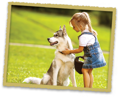 Pet Dental Care Dental disease is widespread among dogs and cats, as many as 85% showing symptoms by three or four years of age. Periodontal disease is inflammation and infection in the gums surrounding your pet’s teeth. The bacteria forms a plaque that eventually hardens into the tartar seen on the tooth surface. If periodontal disease is left untreated, the following can result and may be signs you observe: Chronic pain Tooth destruction, receding gums Damage to vital organ structure (Kidneys, Liver, Heart) Excessive salivation Reluctance to eat Bad breath Bumps/lumps in the mouth Fortunately, with the advanced dental procedures at Town and Country Veterinary Clinic, we can eliminate pain and discomfort associated with this disease with a combination of routine home health care and regular dental cleanings. If you notice any of these symptoms, it is best to bring your pet in for a veterinary visit. Prevention is much less expensive than tooth extraction! Routine health care can assist in preventing periodontal disease. For example, you can: Provide your dog or cat a dental chew (C.E.T.) Add a drinking water additive to freshen breath (Breathalyser) Brush your pet’s teeth daily with enzymatic toothpaste