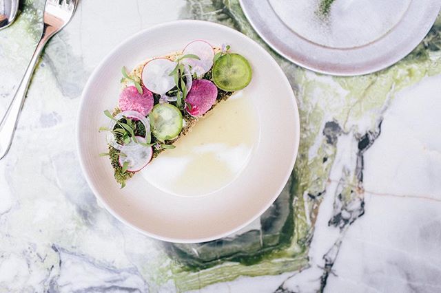 #quintonil up on the blog! Here one of chef Jorge Vallejo's iconic dishes: stone ran tostada with lime, radish, and chile habanero mayonnaise. Link in profile! 🌿
.
.
.
.
.
.
.
#food #foodtravel #fooddestination #localfood #sustainablefood #foodphoto