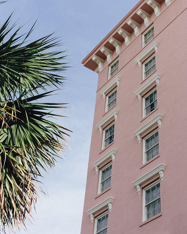 Do you love food? Have you been to Charleston? Come get inspired. Lots of pretty little things on this post. Come delight! Link in profile 🌴💒