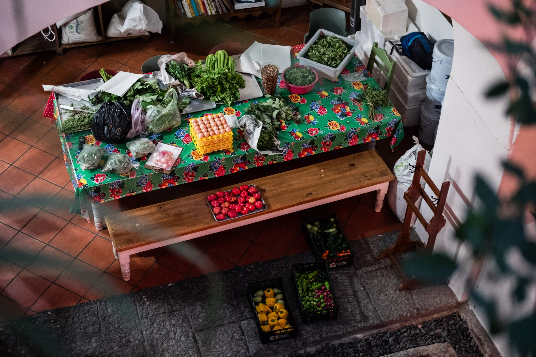 A large table on the first floor where the team is gathered fresh ingredients in preparation for the Festival Saber del Sabor. This year in particular, the festival brought a lot of renown restaurants and chefs together, to help raise funds for the many devasatating effects of recent earthquakes in Mexico. 