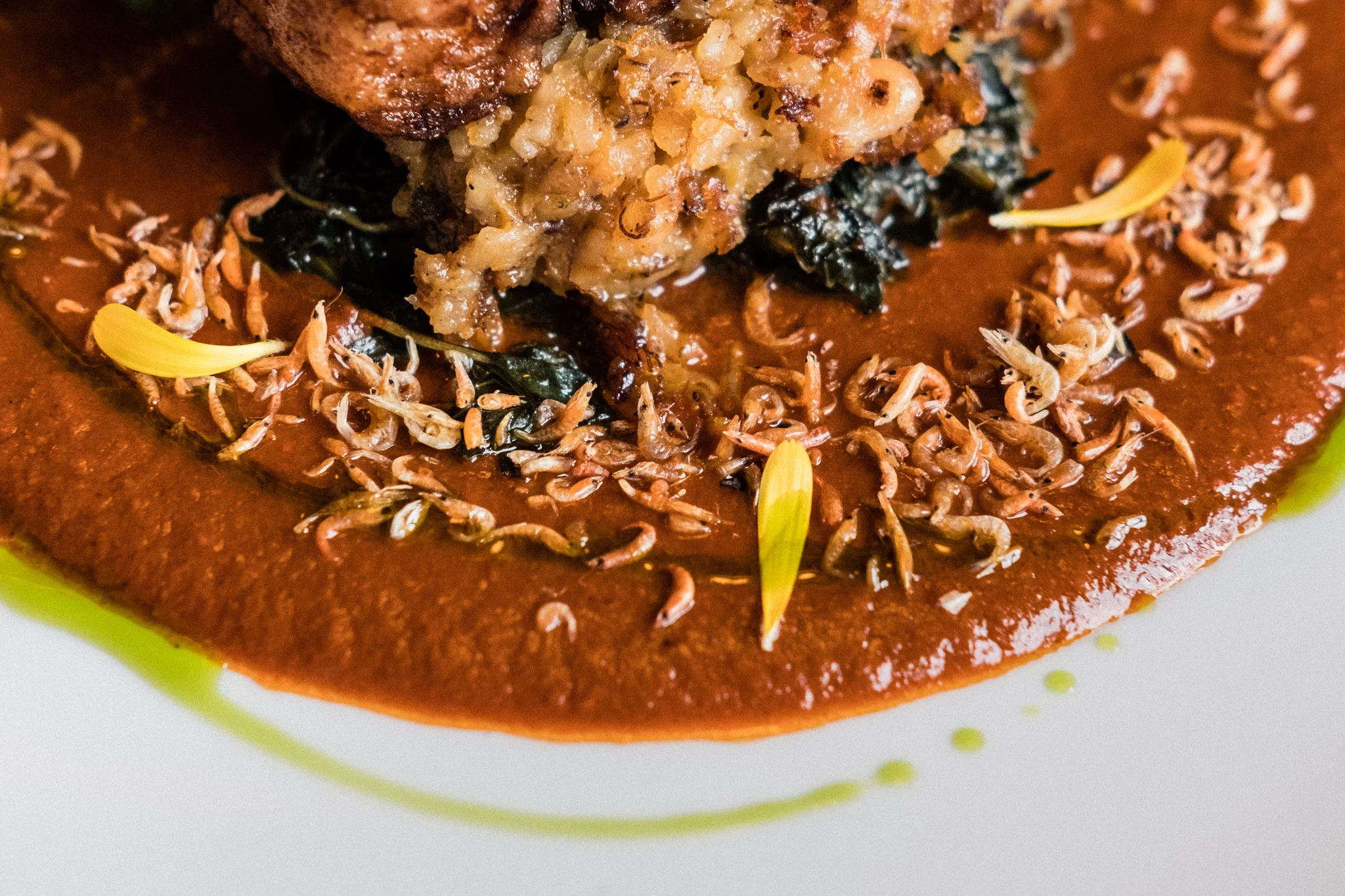 Coloradito Mole is one of the famed moles of Oaxaca. It has a burnt red color and robust aroma, and as with most moles, it is made with a varied combination of spices and ingredients. Coloradito Mole in particular is typically made with Chilcostle chili (meaning yellow chili in the indigenous Náhuatl language). Here also topped with tiny dried shrimp, which can bee seen as pink mounds brimming over burlap sacs, with an intense, briny aroma, in markets all over Oaxaca. Often used as a flavor enhancer that adds notes of saltiness.