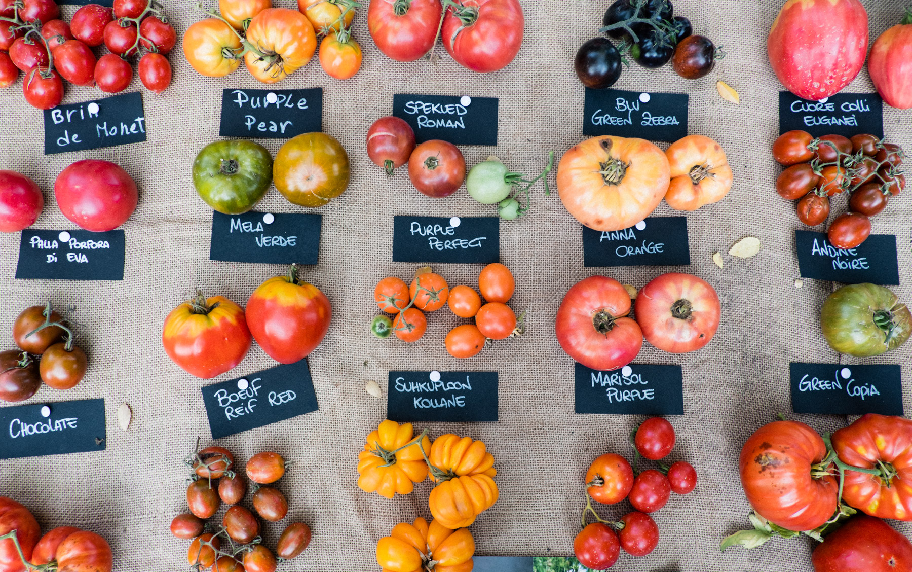 Azienda Agricola Florovivaistica Campolungo is dedicated to producing plants with organic and conservational methods, offering services ranging from custom garden projects and garden maintenance to garden restoration. Their tomato display at Murabilia was breathtaking… As extraordinary as the Santa Monica Farmer’s Market is, this display was next level. #gardeningoals / vivaiocampolungo@virgilio.it