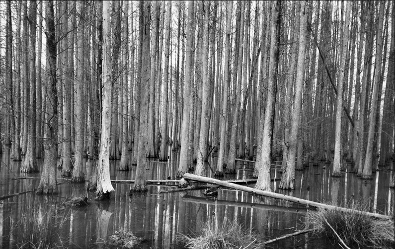 Durham County, NC 1998