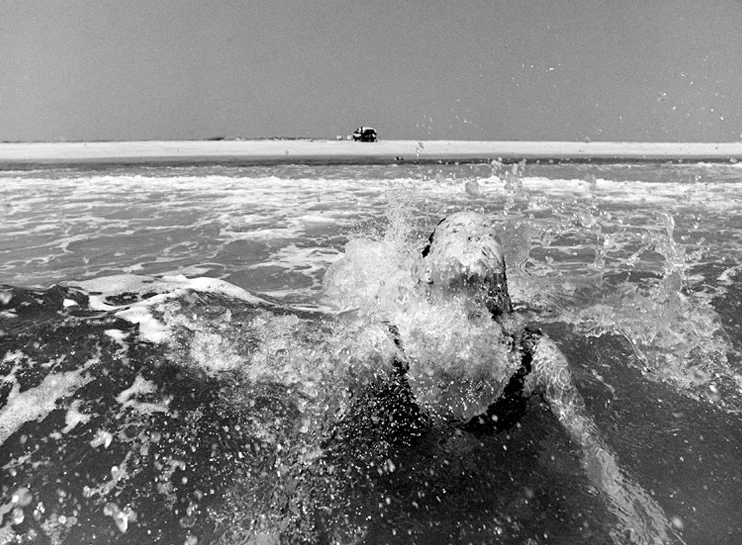Ocracoke, NC 1982